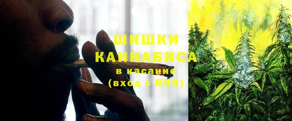 прущие крисы Переславль-Залесский