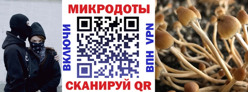 цена   блэк спрут ONION  Галлюциногенные грибы ЛСД  Отрадный 